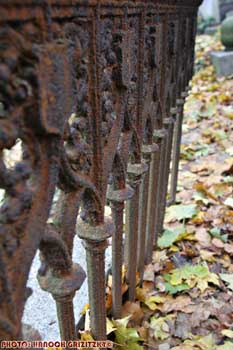 IMG_ (10485)